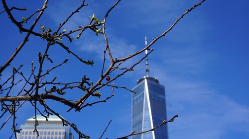 manhattan  wtc  usa