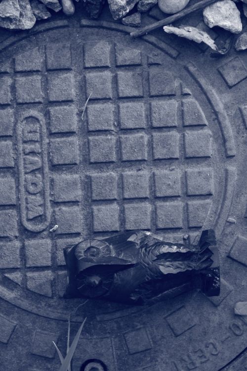 manhole owl black