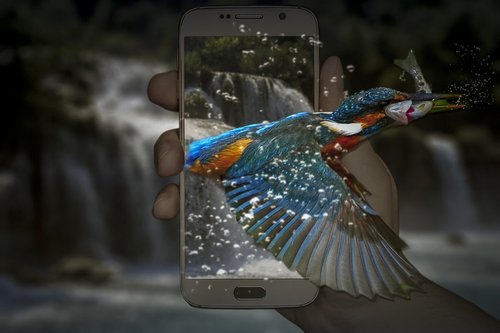 manipulation  kingfisher  phone