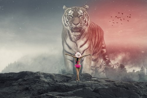 manipulation  tiger  fog