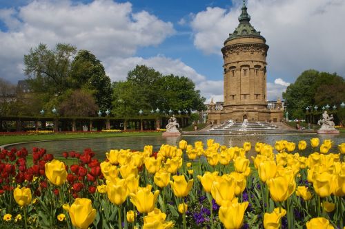 mannheim water tower flowers