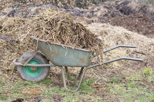 manure wheelbarrow wheelbarrows