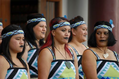 maori maori group kiwi