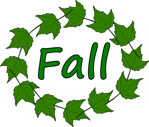 maple fall leaves