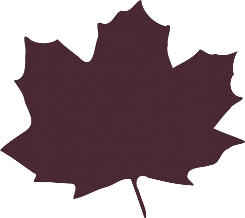 maple leaf foliage