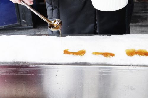 maple maple syrup ice