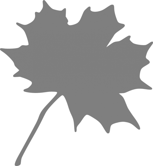 maple leaf grey