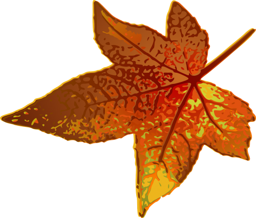 maple leaf brown