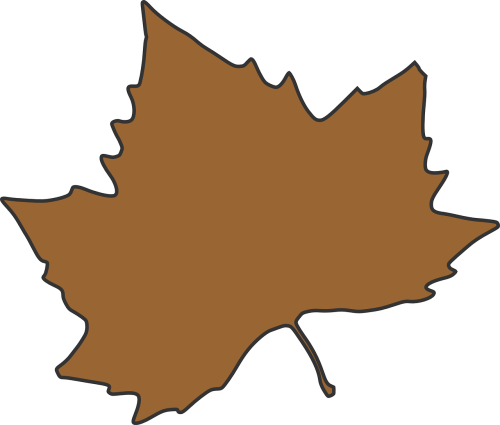 maple leaf brown