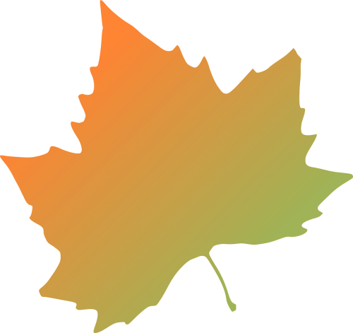 maple leaf orange