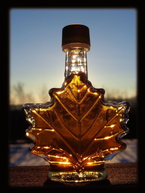 maple syrup sun