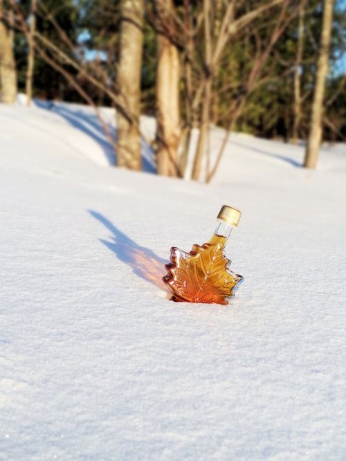 maple syrup snow