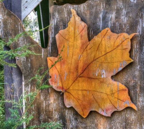 Maple Leaf Decoration