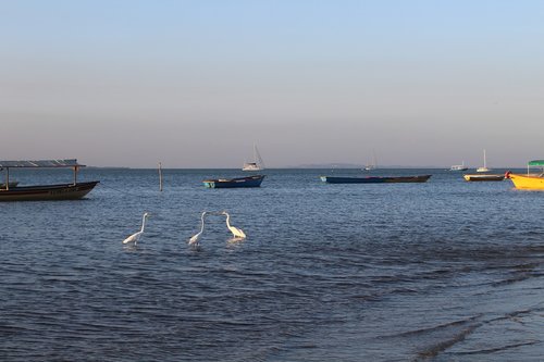 mar  boats  water