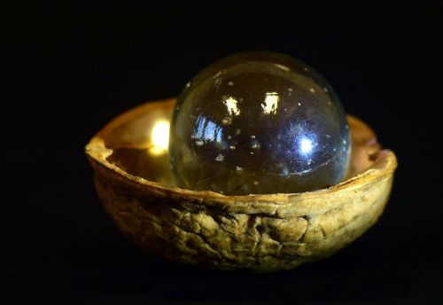 marble nutshell walnut shell