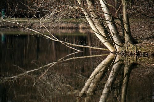 march lake water