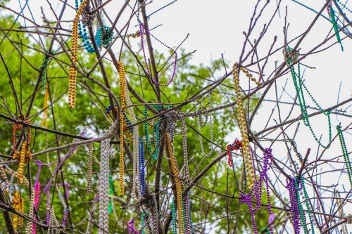 mardi gras new orleans tree