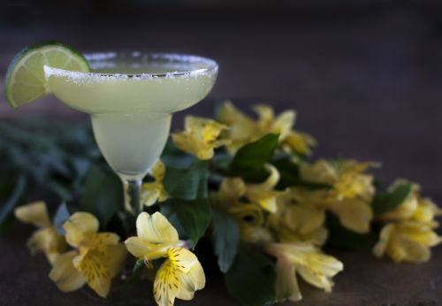 margarita drink cocktail