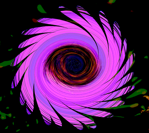 marguerite pink whirlpool