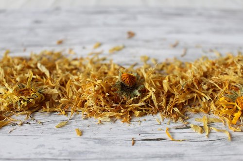 marigold  dry flower  trockenblume