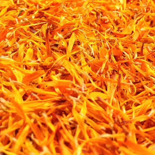 marigold petals calendula officinalis