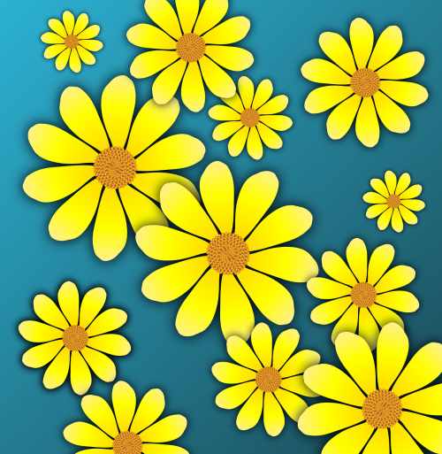 marigolds daisies flowers
