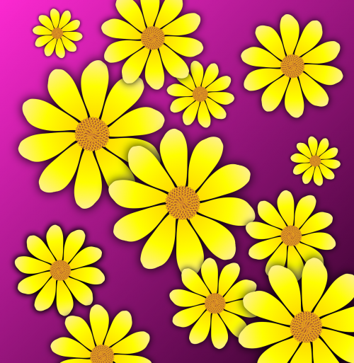 marigolds daisies flowers