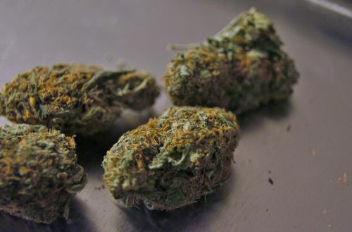 marijuana green kush