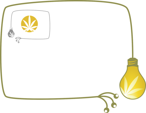marijuana bulb cultivation