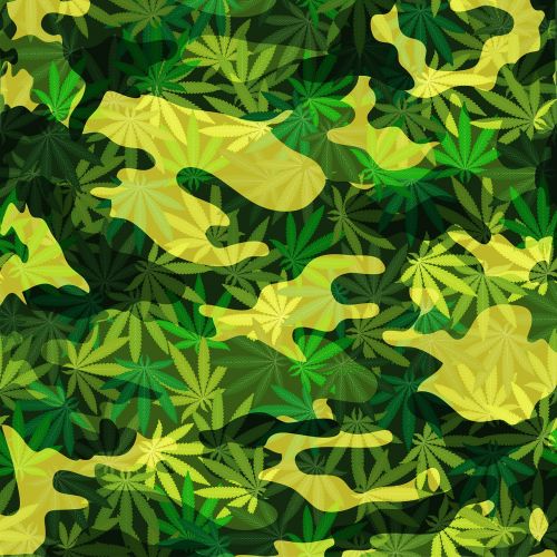 marijuana camouflage cannabis