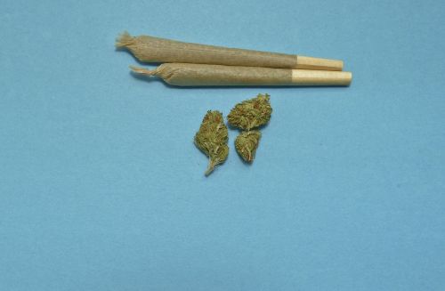 marijuana medical weed