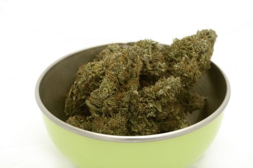 marijuana cannabis bud