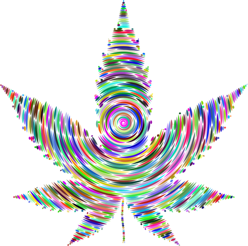 marijuana pot weed