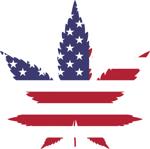 marijuana drugs cannabis