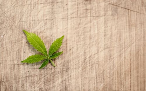 marijuana cannabis hash