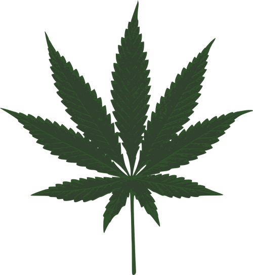 marijuana leaf green