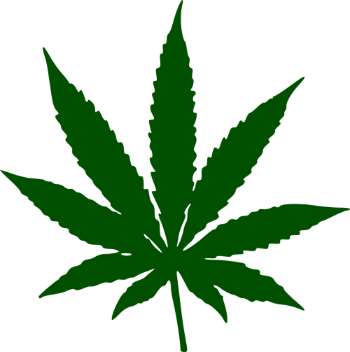 marijuana leaf drug