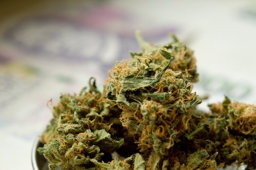 marijuana  drugs  herb