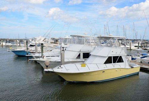 marina boats docked