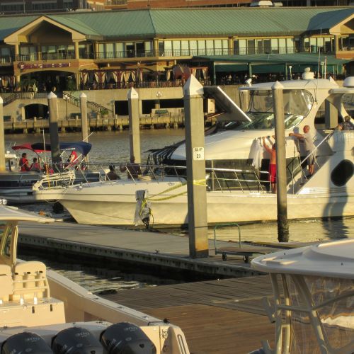 marina boats dock