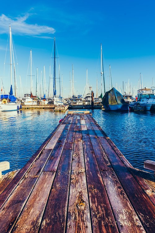 marina  boats  empty