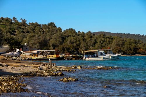 marine blue nature