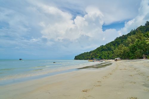 marine beach ocean