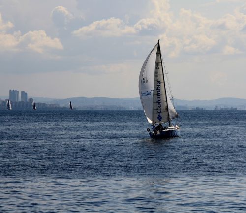 marine blue sailboat