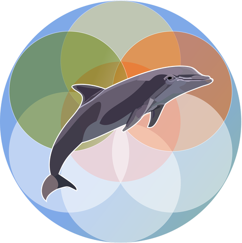 marine mammal  dolphin  Free vector graphics