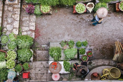 market vegetables garden