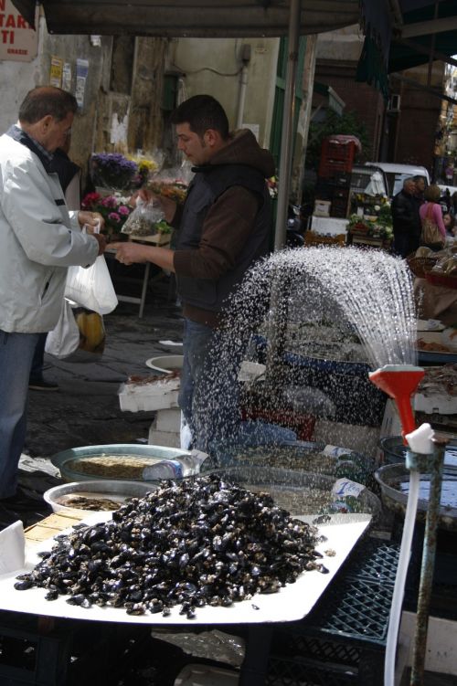 market mussels italy