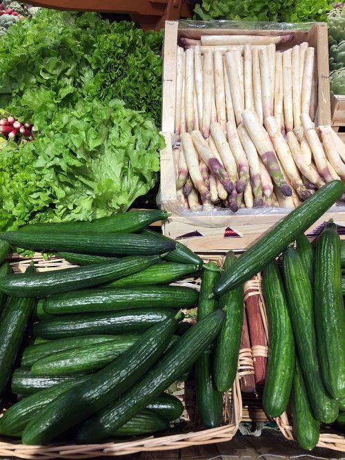 market cucumber vegetable