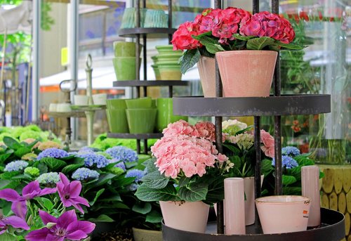 market  flowers  flower pots