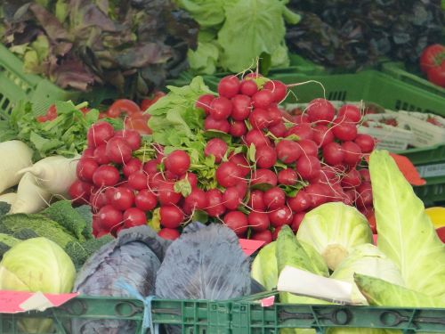 market vegetables garden